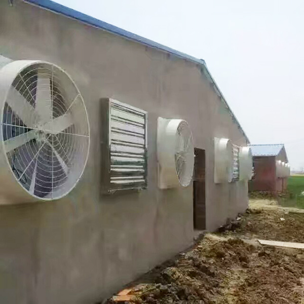 畜牧養殖麻豆白虎B性爱AV的應用